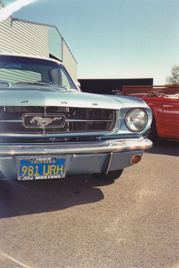 Mustang Ford Car